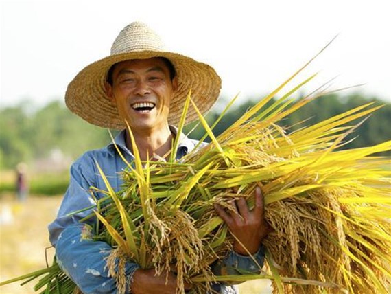 2018年1月23日農(nóng)業(yè)部耕地質(zhì)量監(jiān)測保護(hù)中心與肥業(yè)公司簽訂戰(zhàn)略合作協(xié)議