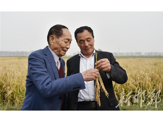 變鹽堿荒灘為生態(tài)糧倉  ——宋福如科研團隊10年改良千萬畝鹽堿地記事